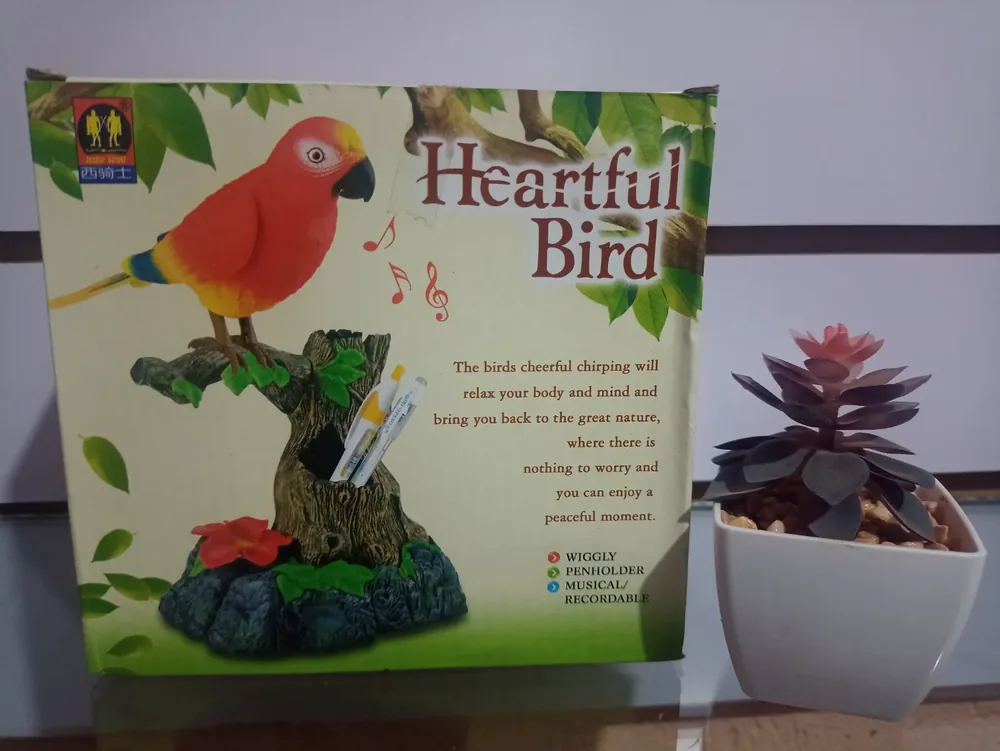 Pajarito musical