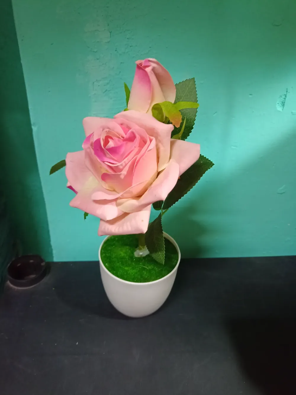 Rosa