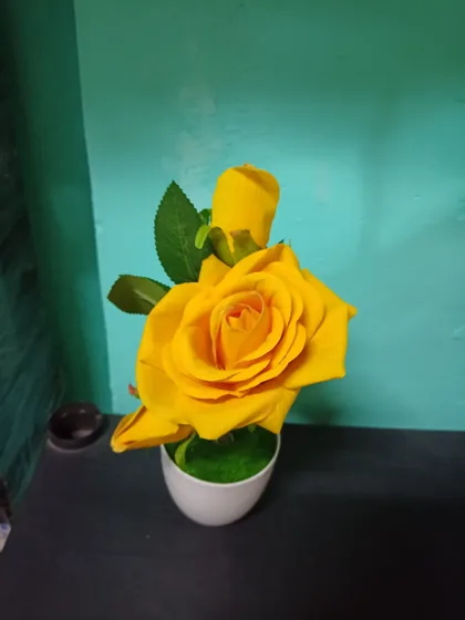 Rosa
