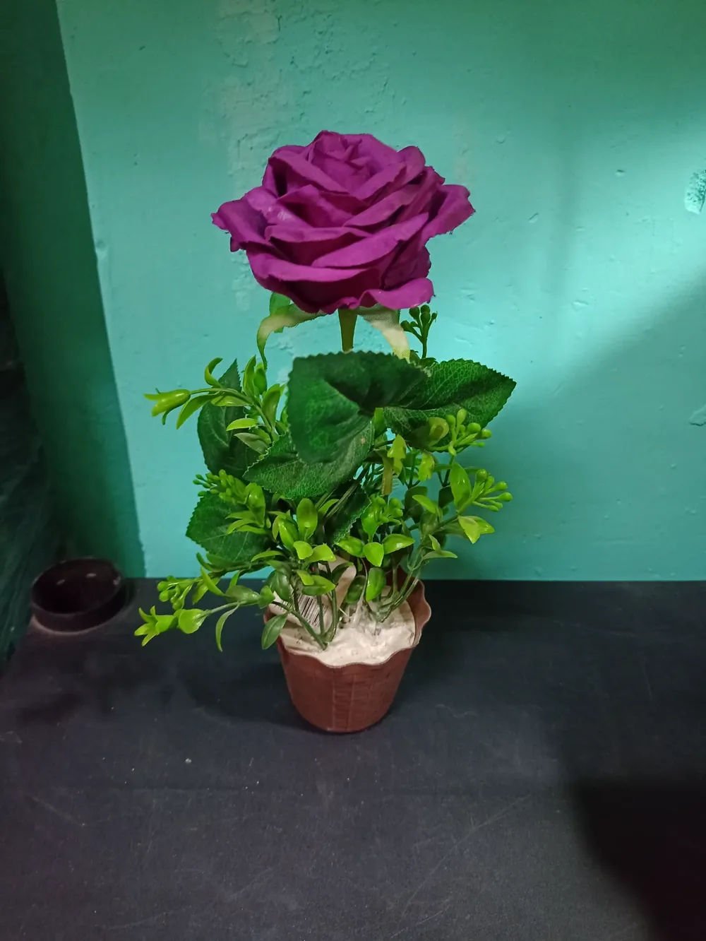 Maceta con rosa
