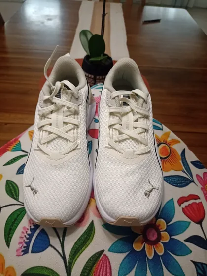 Tenis puma #231/2